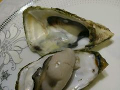 -俏东方·海味水饺·青岛菜(崂山店)
