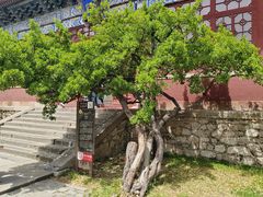 -青州市云门山风景区