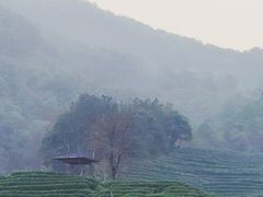-国生茶庄·地道农家菜团建活动