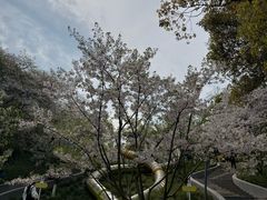 -杭州少年儿童公园