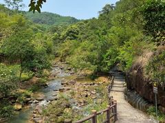 -广州白江湖森林公园