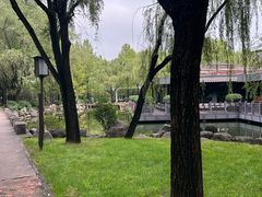 -唐城墙遗址公园