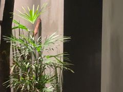 -森SPA·泰式按摩·精油Massage(宝安中心店)