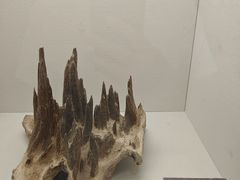 -香市公园-中国沉香文化博物馆