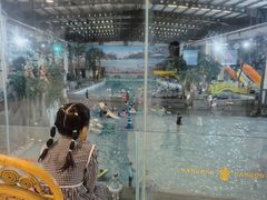 -南宫温泉水世界