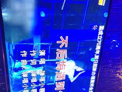 -萧邦音乐会所KTV(向西店)