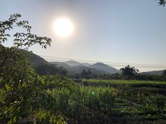 -红山村