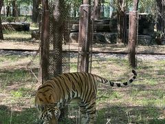 -秦皇岛野生动物园