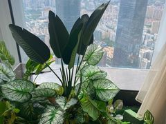 -南宁那莲豪华精选酒店-云霄酒廊·80楼高空城景酒吧