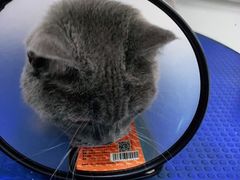 -佳雯宠物医院(金华南路分院)