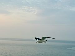 -仁川港国际客运码头