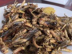 -北京龙庆四季香农家饭庄·灶台鱼·碳烤虹鳟鱼(龙庆峡店)