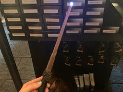 -哈利波特魔法世界
