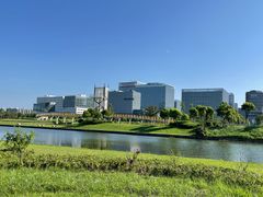 -春花秋色城市公园