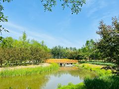 -东郊湿地公园