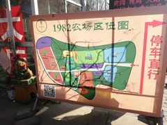 -1982农场