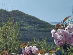 -慢丽江·云南野生菌土鸡锅(西山店)