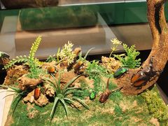 -烟台市博物馆