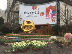 -新湖明珠城
