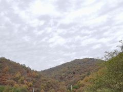 -武汉姚家山旅游景区