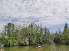 -大宁郁金香公园-停车场