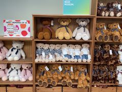 -济州岛泰迪熊博物馆