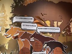 -厦门诚毅自然探索馆