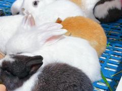 -三旗百汇商品城