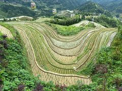 -龙脊梯田
