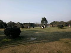 -艾溪湖湿地公园