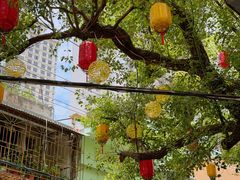 -溪岸路花鸟市场