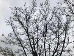 -亚洲海湾大酒店·宴会厅