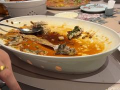 -维园悦谱·海派家常菜(乌鲁木齐南路店)
