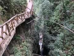 -鹿院坪生态旅游景区