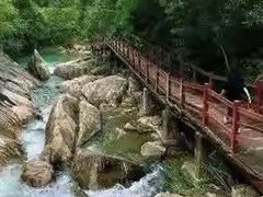 -广州白江湖森林公园