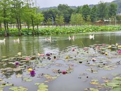 -苏州上方山国家森林公园