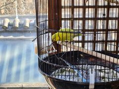 -小吊梨汤·北京菜(香山店)