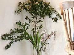 -Ginko银子(青龙街店)