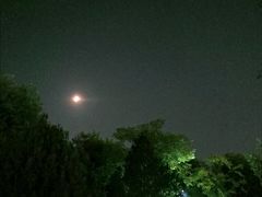 -洨河生态公园