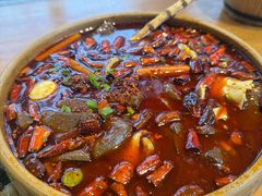 -青城甲(青城山店)