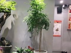 -蓉城小厨·四川味道(浙港国际店)