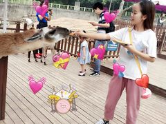 -西安秦岭野生动物园