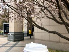 -泊星地咖啡馆(北京大学家园店)