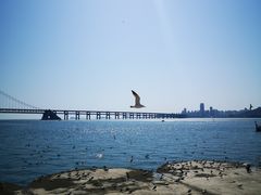 -星海广场