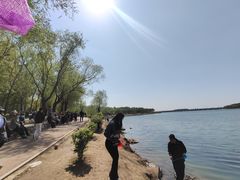 -丁香湖公园