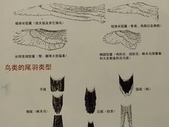 -浙江自然博物院(杭州馆)