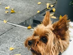 -百林公园-两江幸福广场