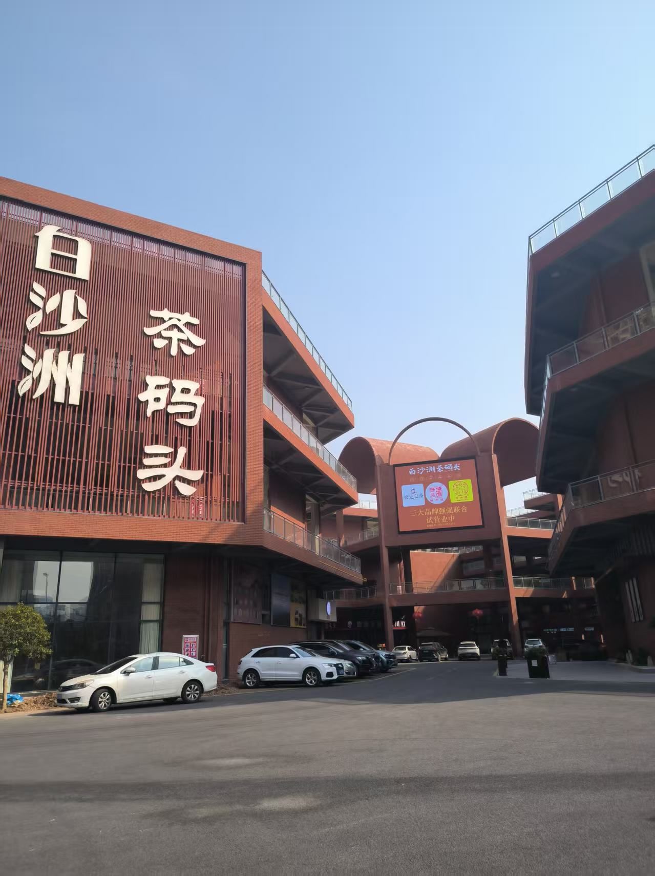 福鼎白茶·棋友茶业