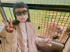 -贵州森林野生动物园