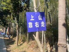 -圌山
